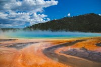 Nederlanders betalen nu 100 dollar extra voor Yellowstone